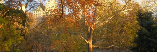 letsgolurk Profile Banner