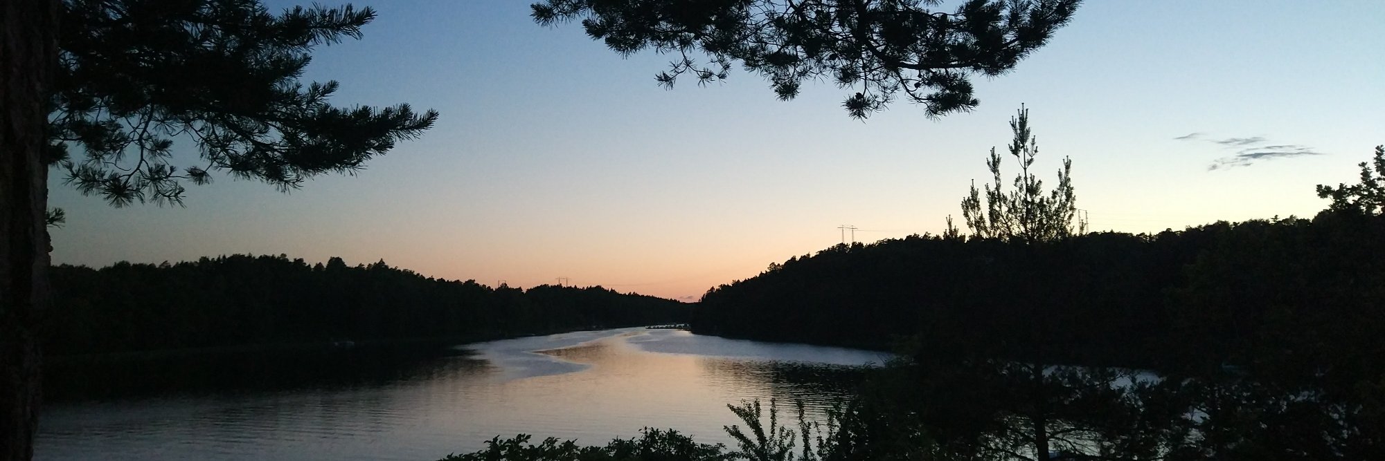 Catherine Coe banner