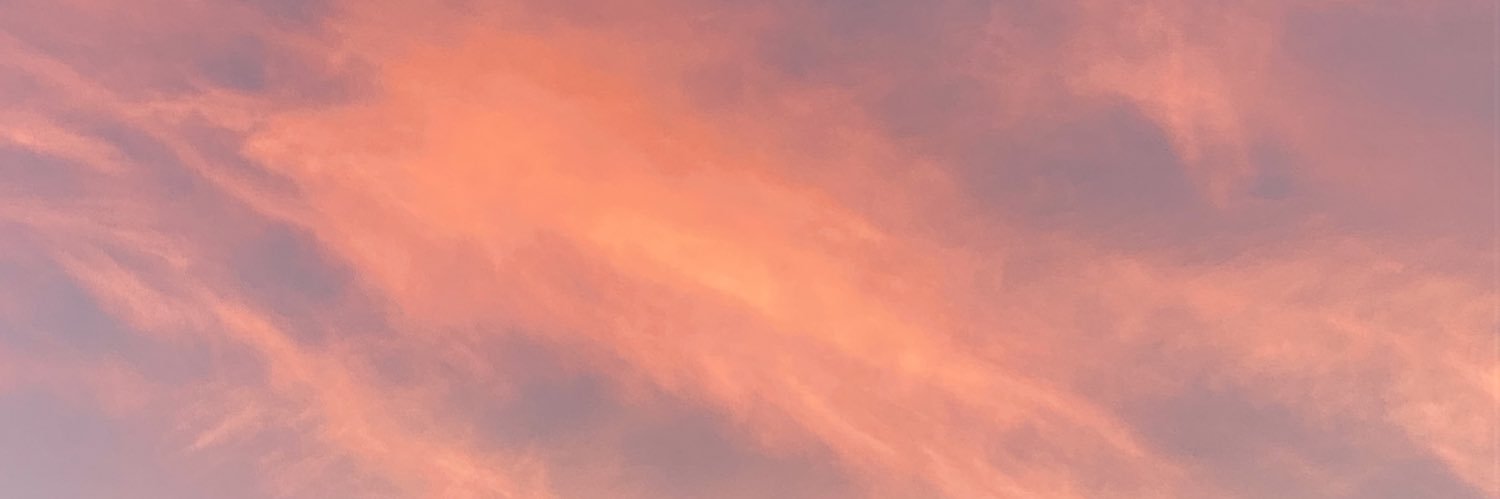 _buddle_'s profile banner image