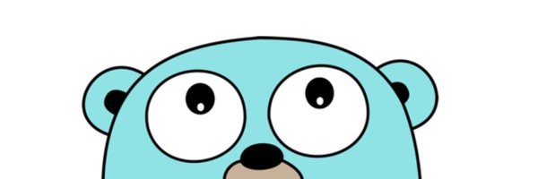 GolangProgramm1 Profile Banner