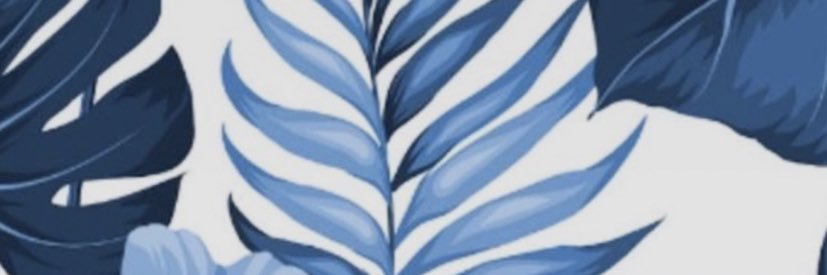 vduperou's profile banner image
