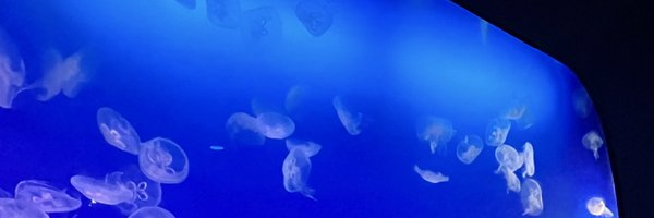 SHIGASAC Profile Banner