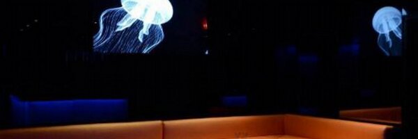 COVEthirtyone Profile Banner