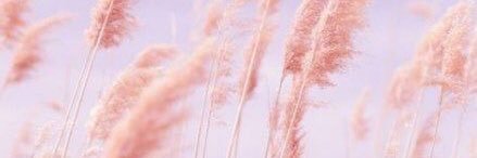 JennaLee2016's profile banner image