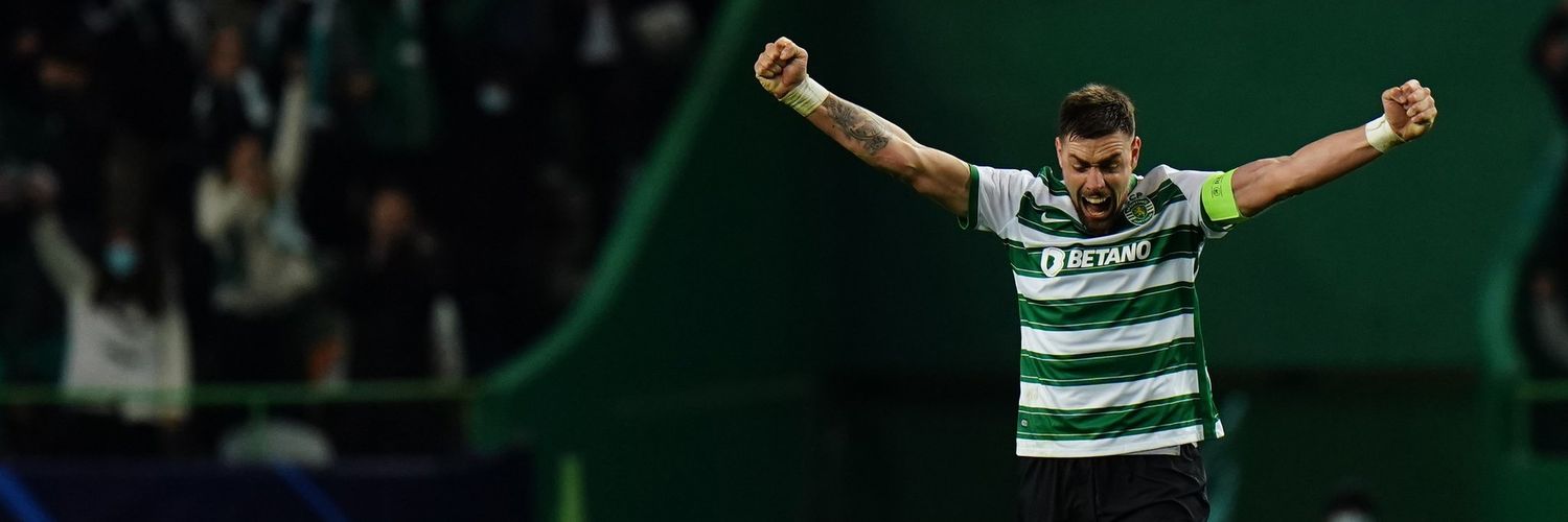 8Fribeiro's profile banner image