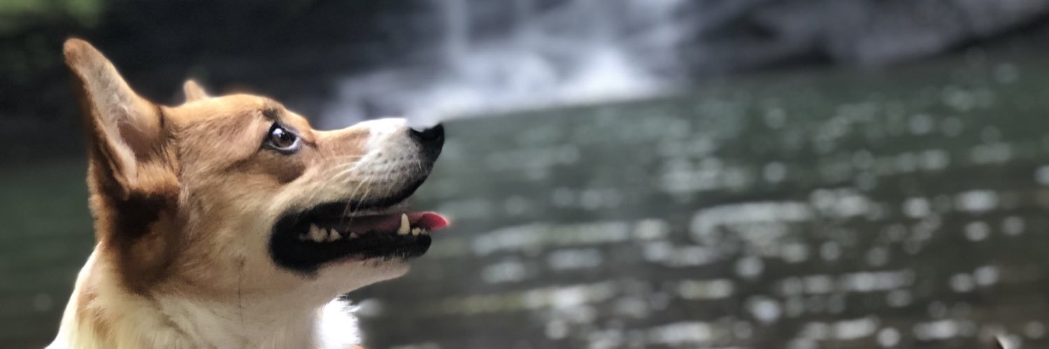 KatieCook_10's profile banner image