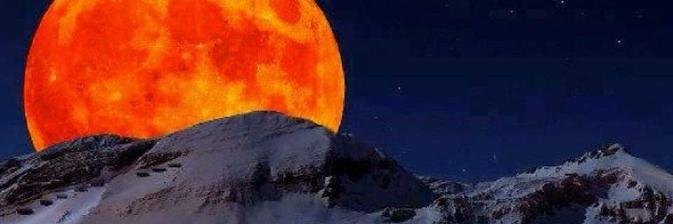 strickhouser11's profile banner image