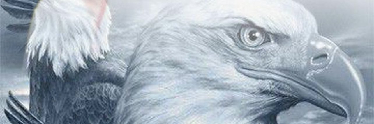 alsubaieibader's profile banner image