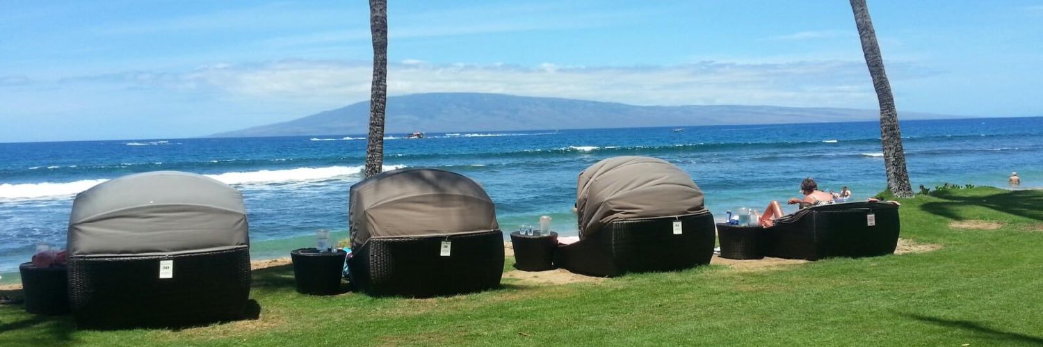 Johnny Miranda banner