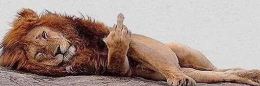 Jonathan Pons banner