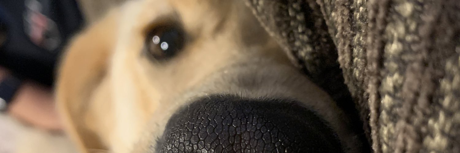 meegsorge18's profile banner image