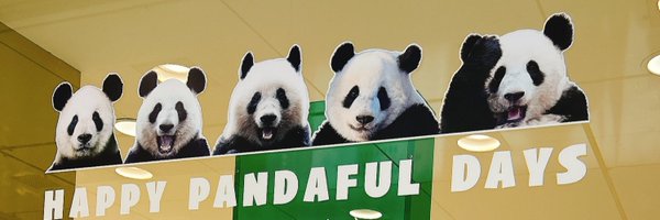 imo_tensai Profile Banner