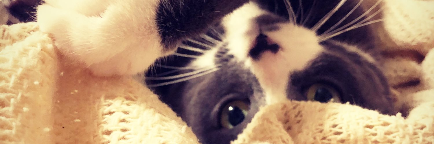 Tori Halligan banner