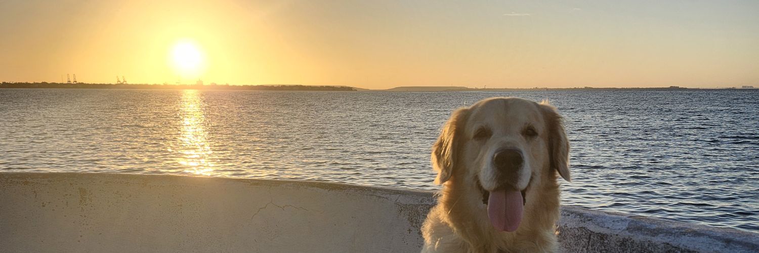 kpmilehigh's profile banner image