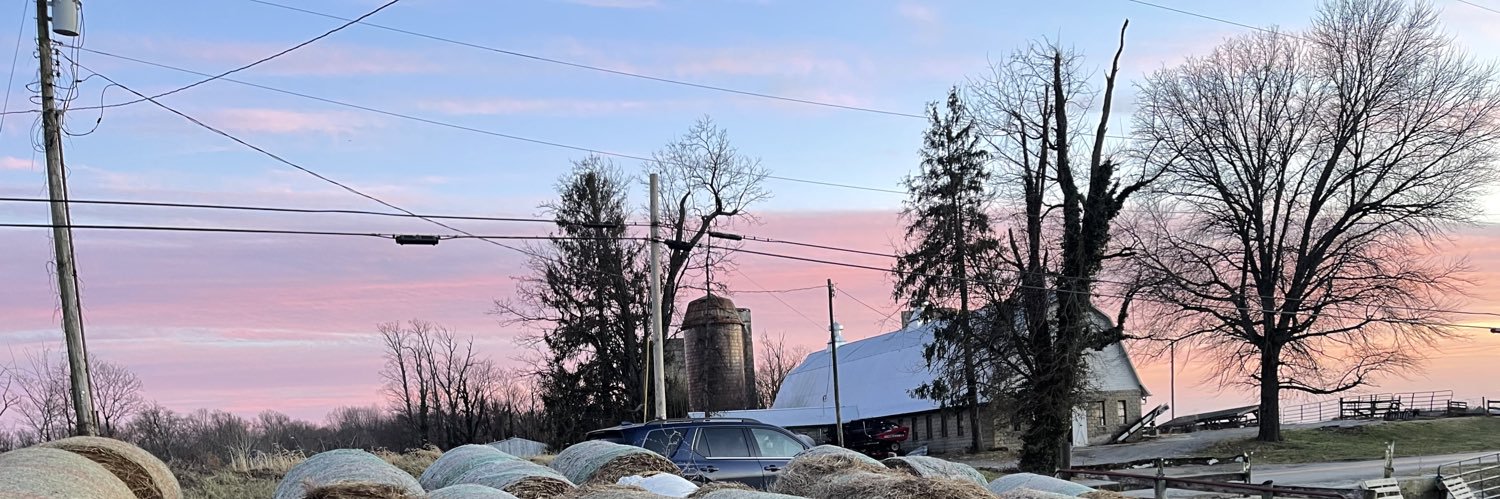 TheFarmBelle's profile banner image
