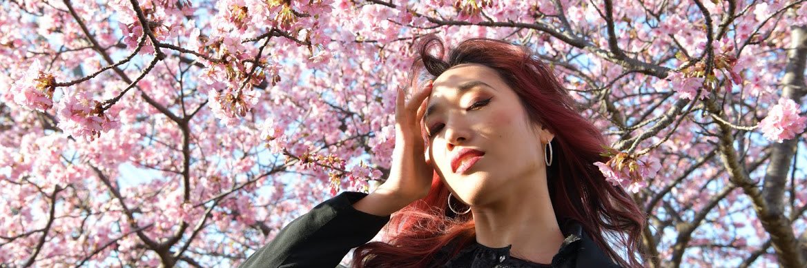 venus_sakura7's profile banner image