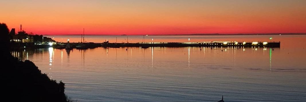 Stephan Gris 💉💉💉💉💉🇺🇦🇵🇸❤️ banner