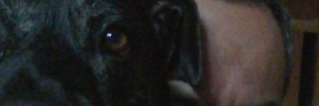 damian aquel banner
