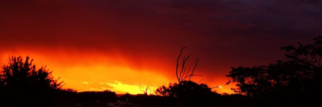 Gringo9105's profile banner image