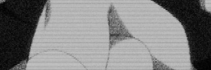 leXXa banner