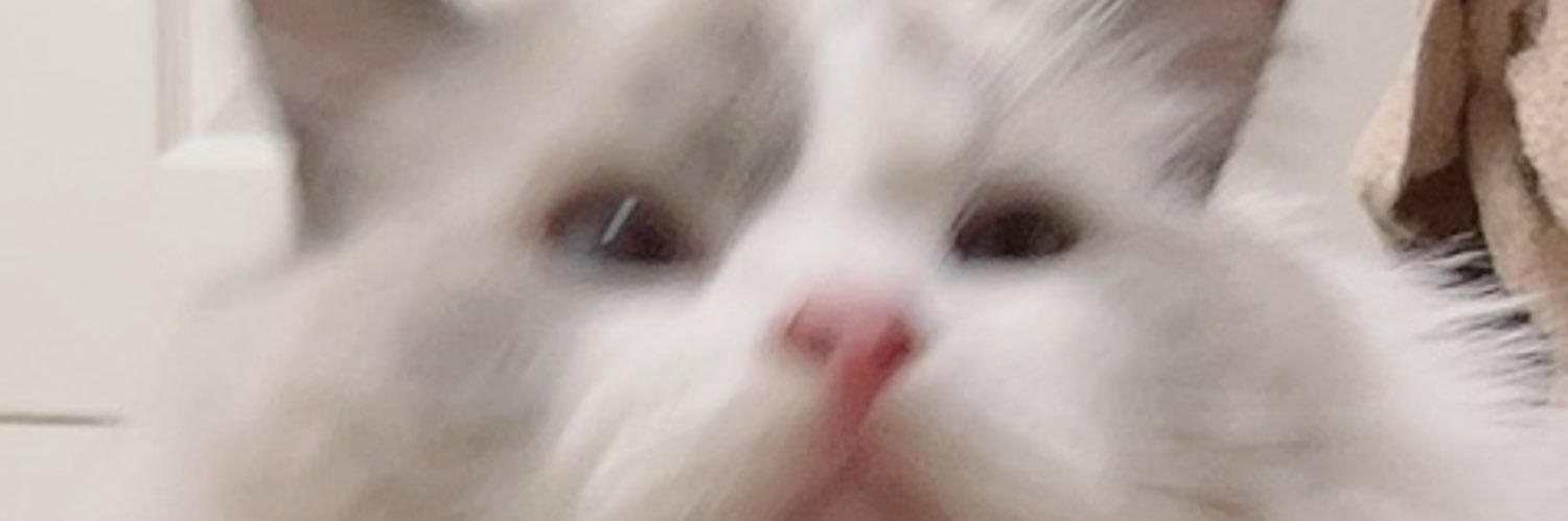 みさきちゃん banner