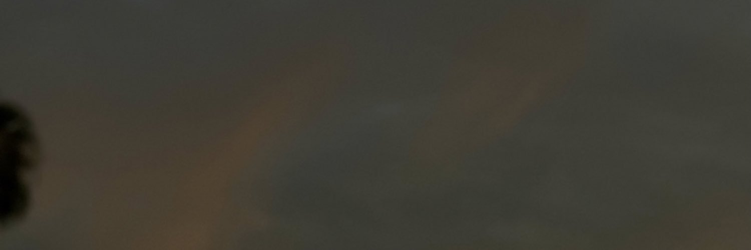 randoleaf's profile banner image
