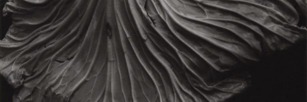 alewoj's profile banner image