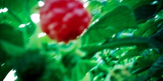 DestinationFood's profile banner image