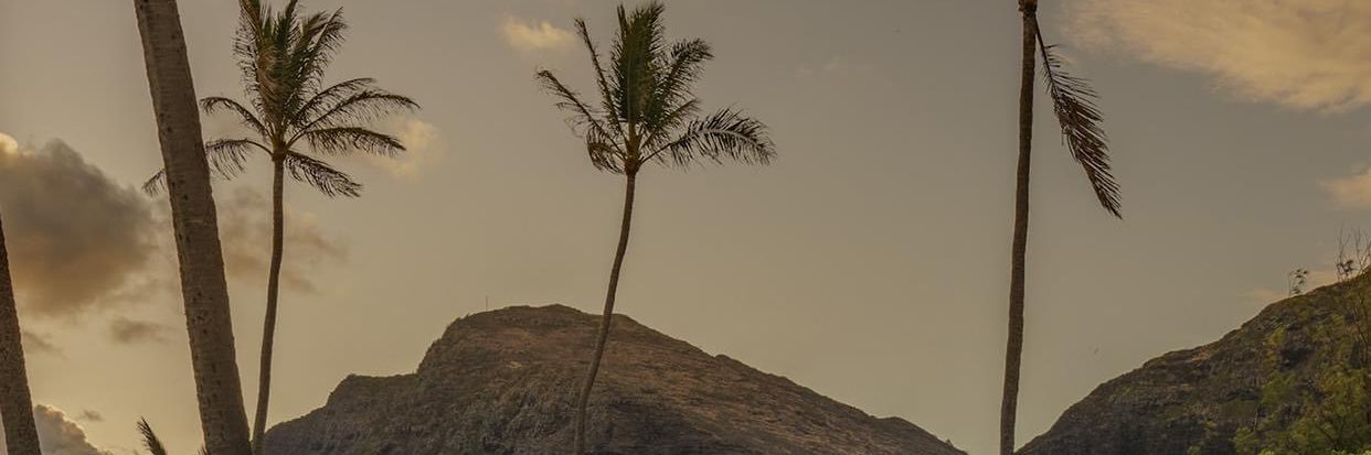 WSDUADU's profile banner image