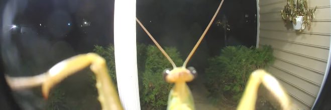 misss_rah's profile banner image