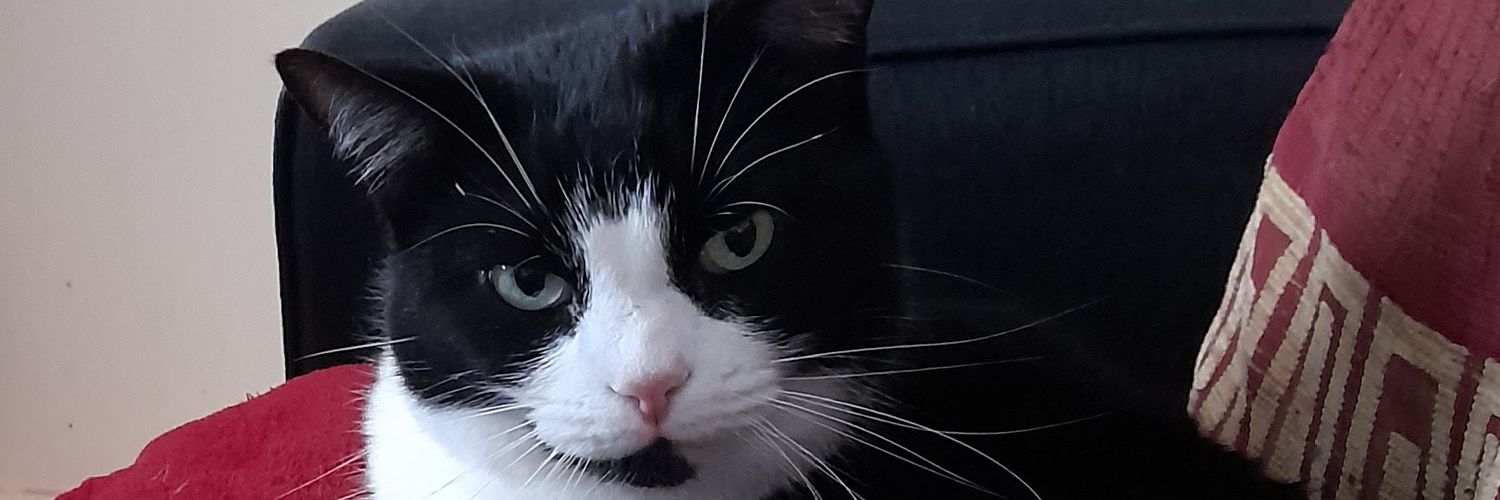 LyndseyxRot's profile banner image