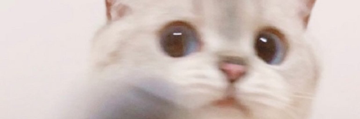 STARRYHE4VENS's profile banner image