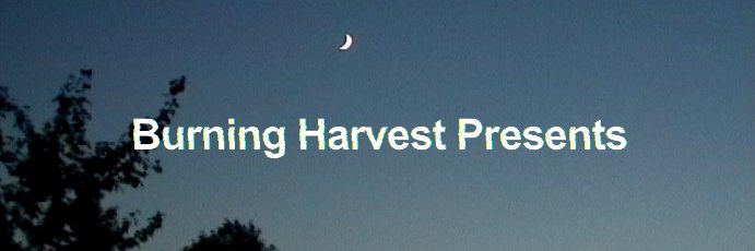 boilingocean's profile banner image