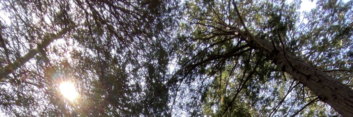 TrailRunEdit_g's profile banner image