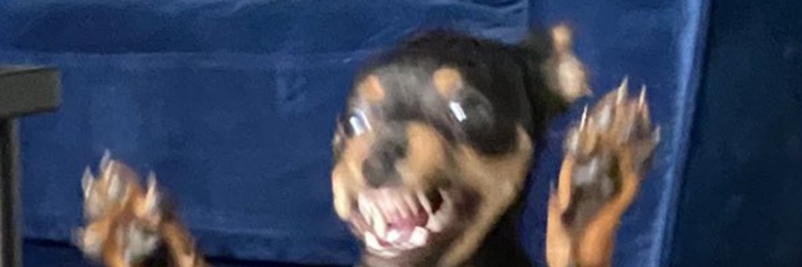 flowbeeeee's profile banner image
