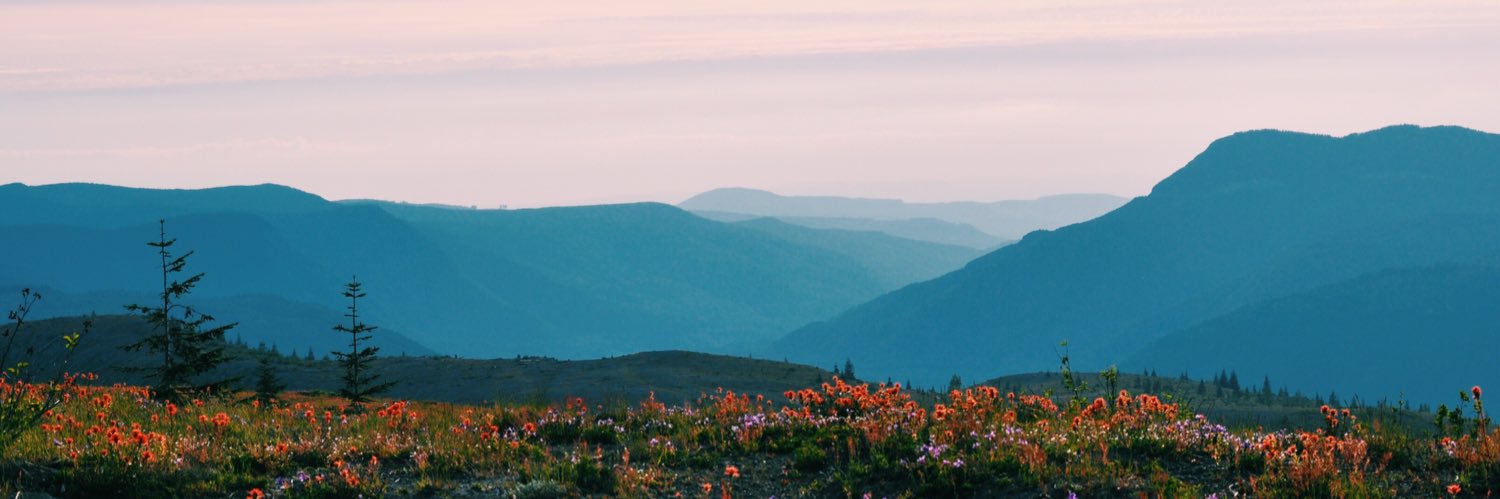 Greggorryy's profile banner image