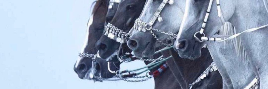 𝒥𝑜𝓊𝓇𝓎 💕🇸🇦 banner