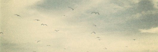 herlein92's profile banner image