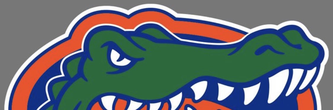 BaseballBully's profile banner image