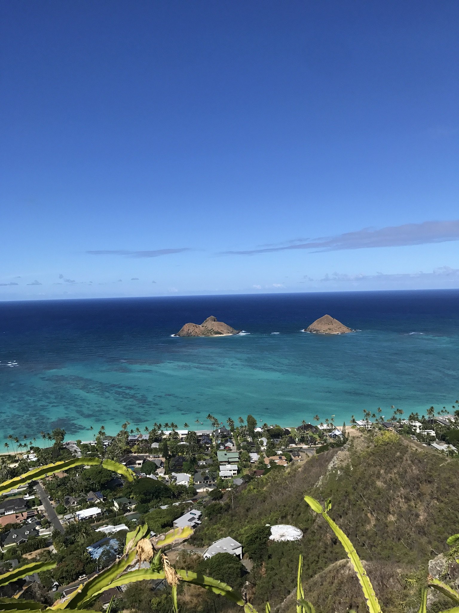 HawaiiManoa's profile banner image