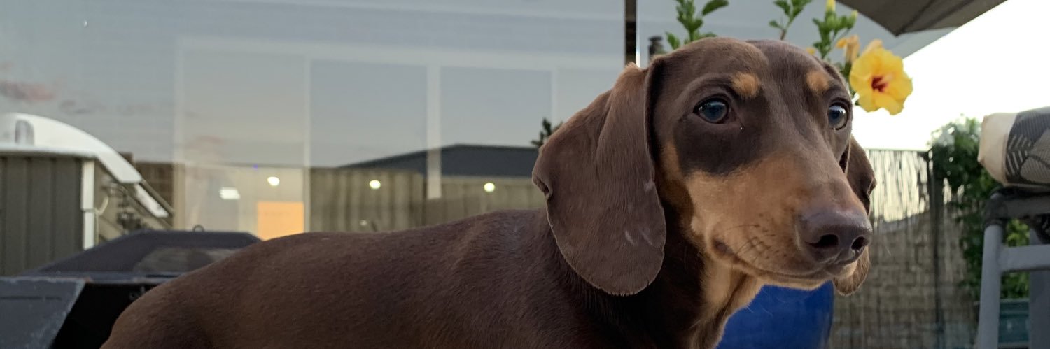 SamKalnins's profile banner image