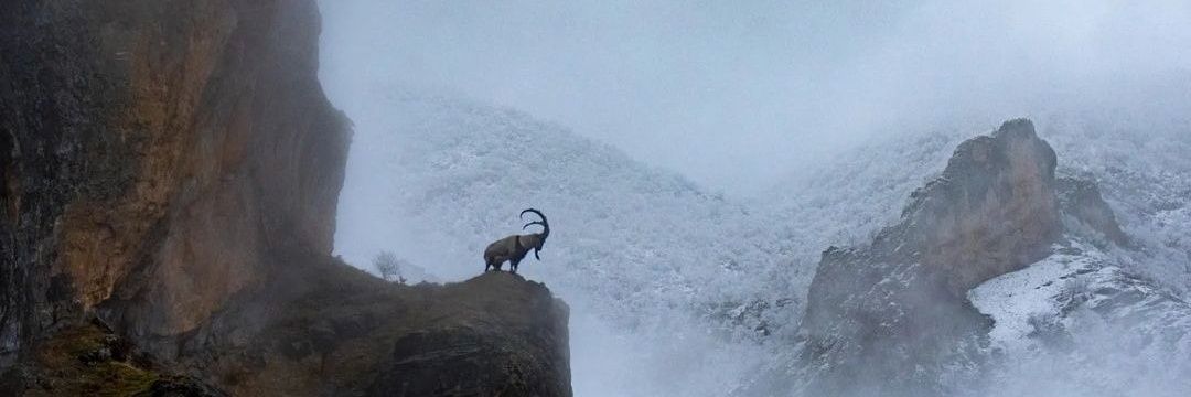 kemalheyv's profile banner image