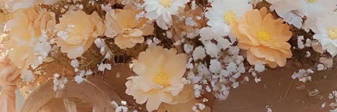 𝓛𝓲𝓽𝓽𝓵𝓮.𝓑 𓏲𓎨♱𓂃◌𓈒𓐍 banner