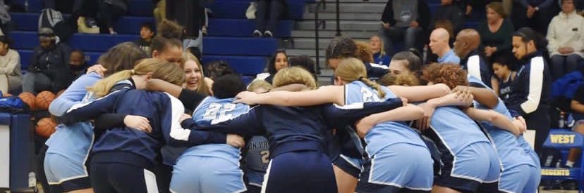 Allison Schmidt banner