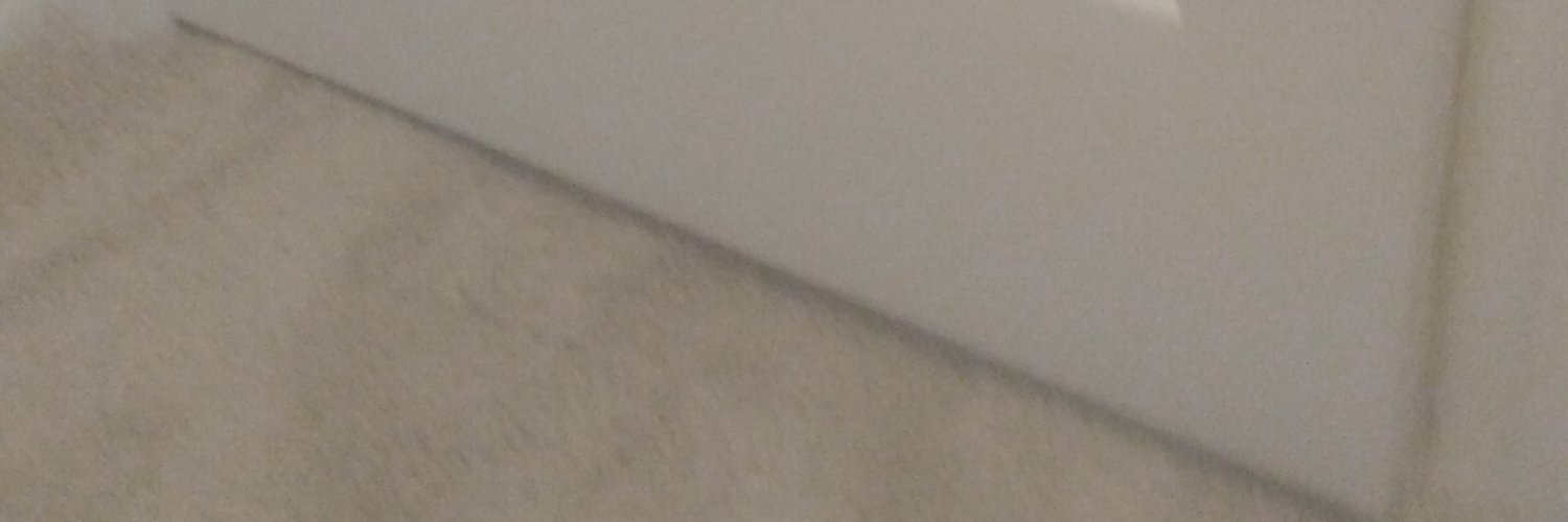 Why Go? banner