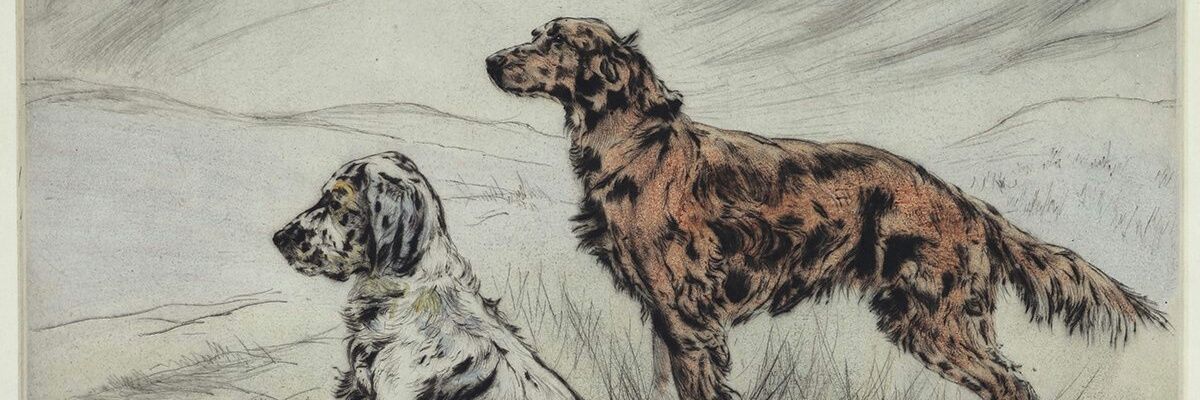 LmgvTweet's profile banner image