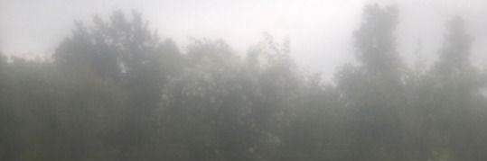 َ banner