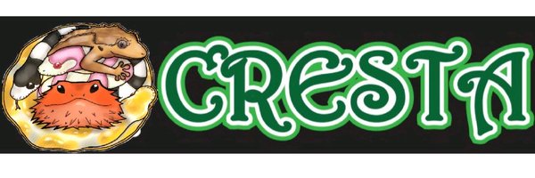 reptile_CRESTA Profile Banner