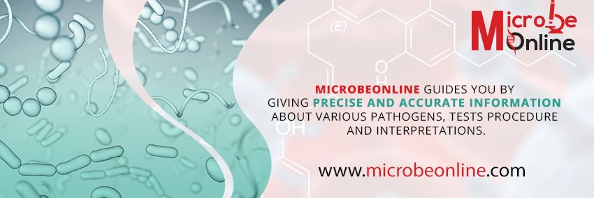 microbeonline's profile banner image