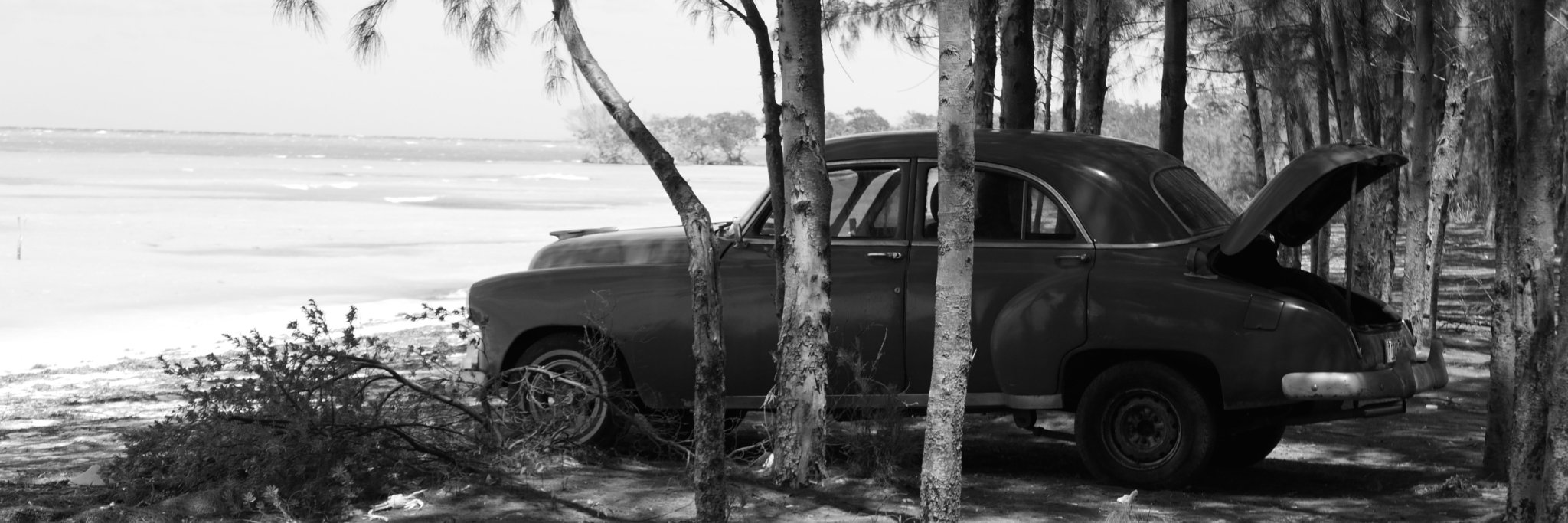 La morue salée banner